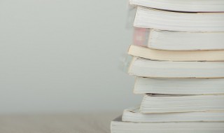 更无山与齐的齐是什么意思 更无山与齐的原文及翻译