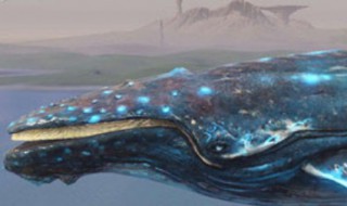 稀瓜冰沙怎么做? 稀瓜冰沙做法