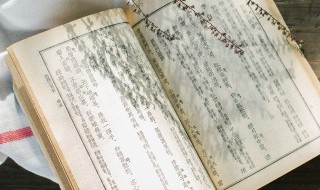 抡组词语 抡组成哪些词语