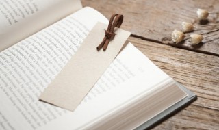 猎组词 猎组词有哪些