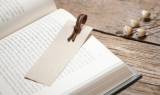 线组词 线组词及意思