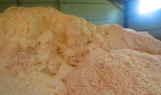 什么是木刨花 木刨花是什么