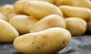 工业土豆储存方法 工业土豆储存方法有什么