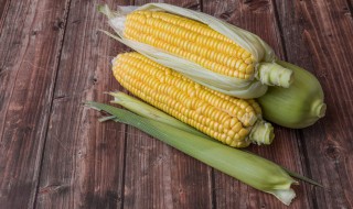 家庭储存玉米粒方法 玉米保存的方法