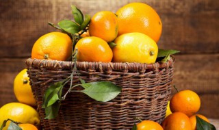 糖橙的储存方法 冰糖橙怎么保存