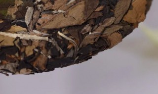 三层白茶储存方法 三层白茶储存方法是什么