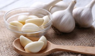 独头蒜什么意思 独头蒜的解释