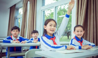 为什么说落叶是大自然的邮票 落叶是大自然的邮票为什么这么说