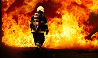 森林防火六个一的内容是什么 森林防火六个一的内容具体是什么