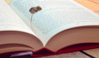 大雾漫天什么意思 大雾漫天解释