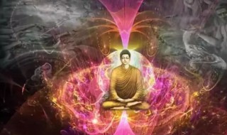 渡我什么意思 渡我指的是什么