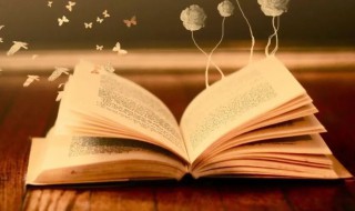 什么是混同 混同解释