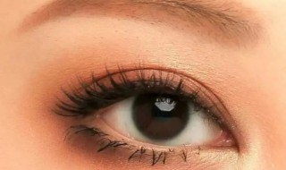 睫毛的拼音 睫毛的读音