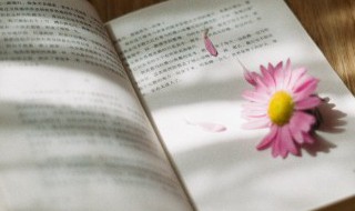 醇美美是什么意思 醇美美的意思是什么