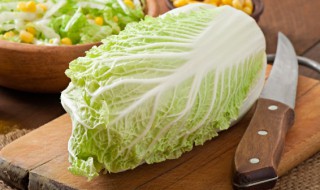 东北冬季储存大白菜方法 东北冬季储存大白菜方法有什么