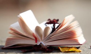 隶而从者的隶而从什么意思 隶而从者的出处