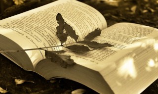 囊橐什么意思是 囊橐解释