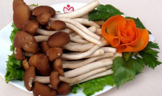 杨树菇储存方法 杨树菇的保存方法