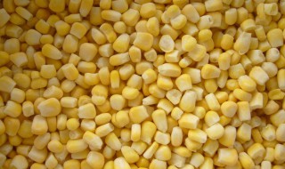 储存鲜玉米粒方法 怎样储存鲜玉米粒