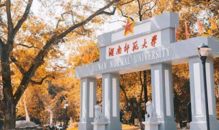 师范类大学本科是什么意思 师范类大学本科介绍