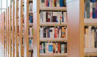 意暇甚的甚什么意思 意暇甚的甚解释