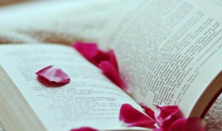 理不胜辞的意思是 理不胜辞的解释