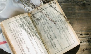 水浒传中柴进和吴用的绰号是什么 关于水浒传中柴进和吴用的绰号