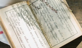 照你在历史的隧洞里蜗行摸索其中我行的意思是 照你在历史的隧洞里蜗行摸索中我行