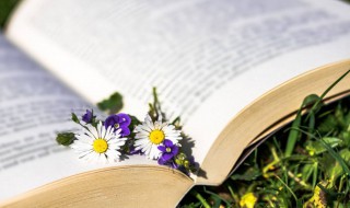 专本套读是什么意思 专本套读解释