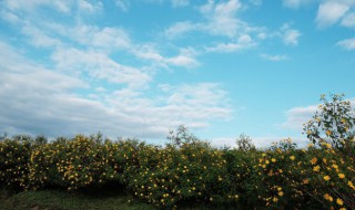 自然的意思 自然的含义