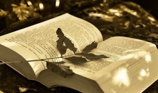 英雄辈出是什么意思 英雄辈出解释