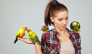 保护鸟的宣传标语有哪些 保护鸟的宣传标语具体有哪些