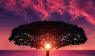 方圆之道是什么意思 方圆之道是什么