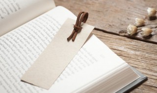 妧怎么读 妧字应该怎么读