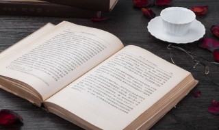 取悦是什么意思 取悦解释