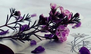 批文是什么意思 批文解释