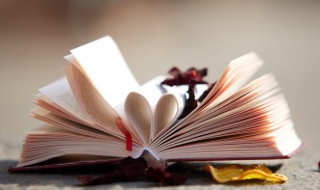 苟日新日日新又日新准确意思是什么 苟日新日日新又日新的解释