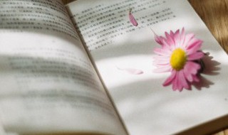 良渚怎么读 良渚如何读