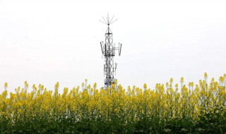 住在移动信号塔下有辐射吗 答案如下