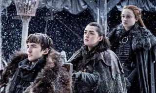 权力的游戏萝丝哪一集死 此部电视剧的简介信息