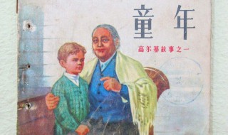 《童年》主要内容概括100字 概括童年以及童年的介绍