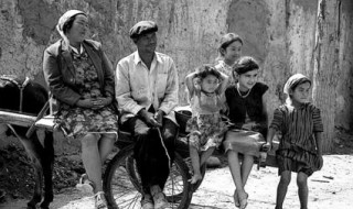 孙晓丹是哪个电视剧里的 电视剧简介