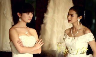 真真是什么电视剧里的 电视剧介绍