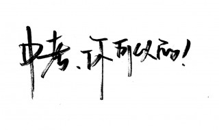 2019温州中考总分 各科目分数