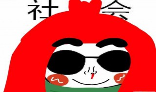 社会社会是什么意思 含义如下
