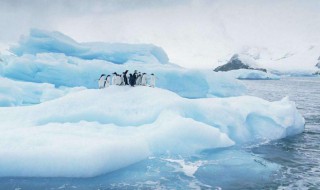 南极地区到底是多少平方公里 南极比北极还冷吗