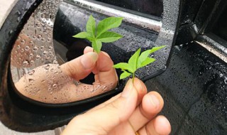 防雨贴膜有用吗 防雨贴膜怎么贴