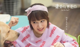 亲爱的热爱的演员表 亲爱的热爱的剧情简介