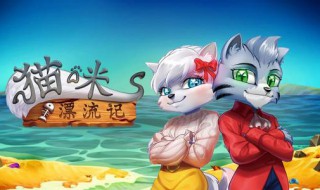 猫咪为什么更新失败 也许是这两个原因