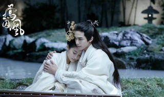 凤囚凰演员表 凤囚凰剧情简介